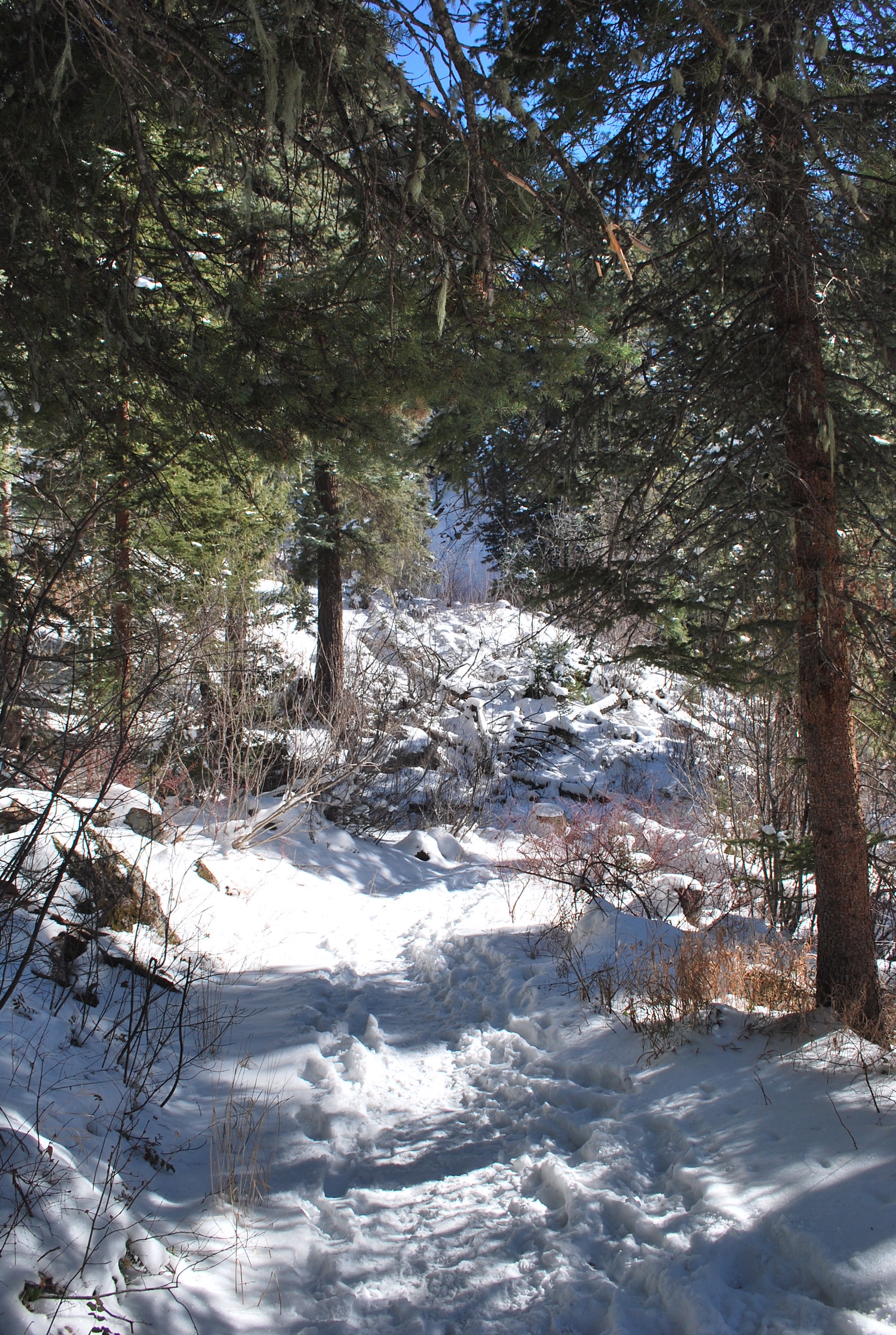 Hiking in Pagosa Springs in the winter